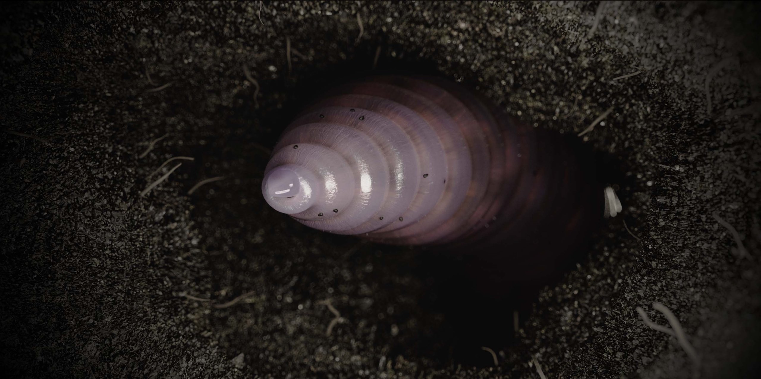 This image shows a 3d animated giant worm onderground.jpg